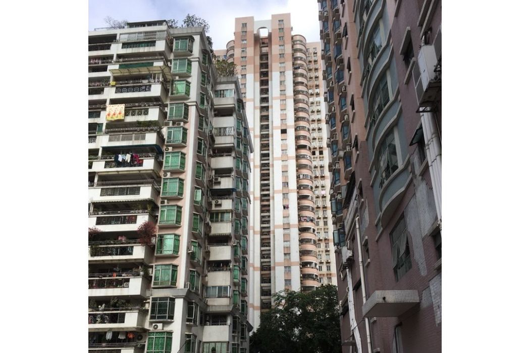 桂苑西村 桂苑西村