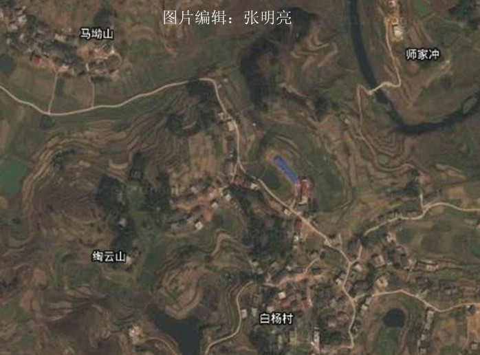 白楊村衛星地圖