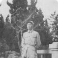 曾如清 曾如清
