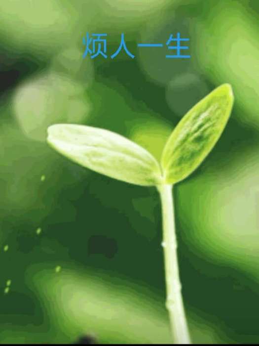 煩人一生 煩人一生