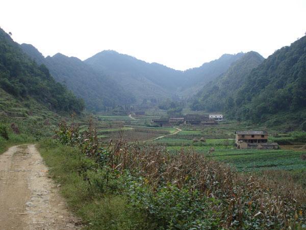 龍麻布村 龍麻布村