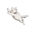 警犬俠 警犬俠