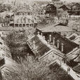 宗人府 宗人府