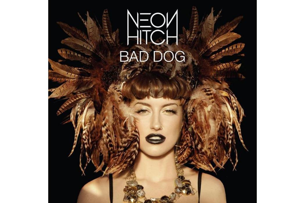 Bad Dog(2011年Neon Hitch演唱的歌曲) Bad Dog(2011年Neon Hitch演唱的歌曲)