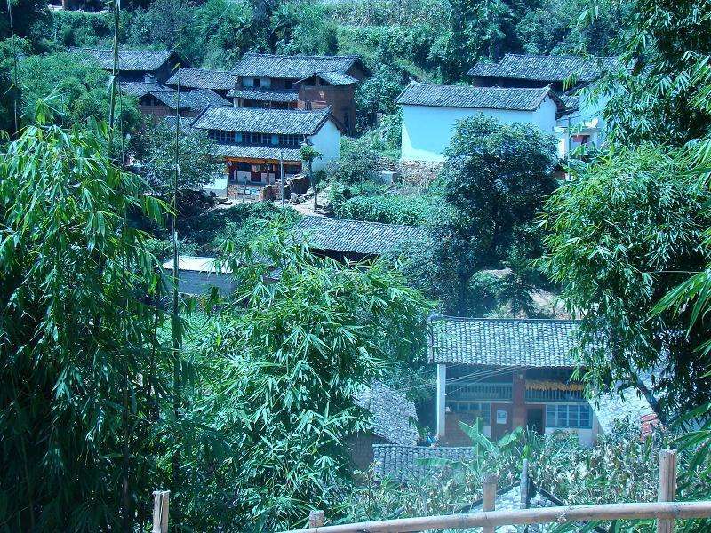 新大田村 新大田村