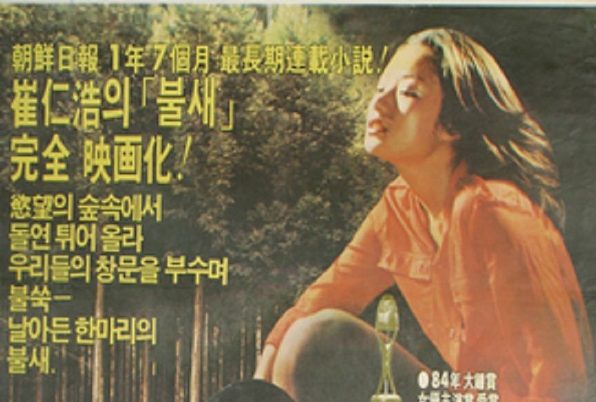 火鳥(1980年韓國李敬泰執導電影) 火鳥(1980年韓國李敬泰執導電影)