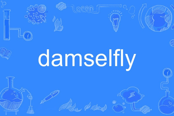 damselfly damselfly