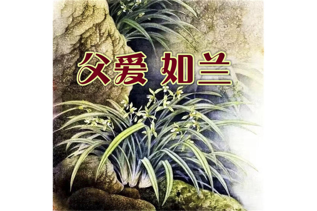 父愛如蘭 父愛如蘭