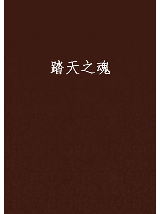 踏天之魂 踏天之魂