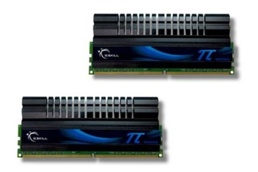 芝奇4GB DDR2 1100 芝奇4GB DDR2 1100