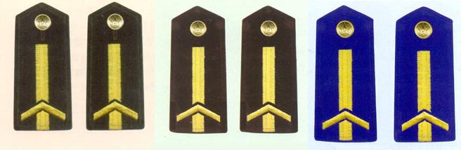 陸海空軍一級專業軍士肩章(1993～1999)