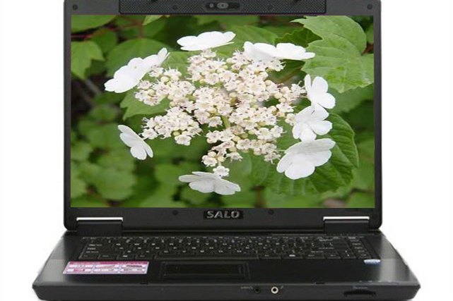 新藍S5070(830) 新藍S5070(830)
