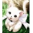 荔枝物語(yanyan530765110著小說) 荔枝物語(yanyan530765110著小說)
