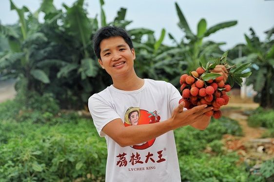 陳小敏(高州市帥果農業發展有限公司創始人) 陳小敏(高州市帥果農業發展有限公司創始人)