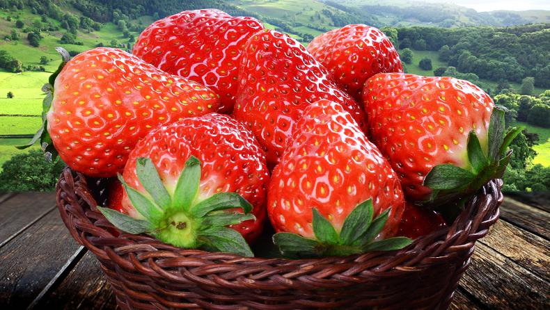 丹東草莓