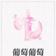 葡萄葡萄 葡萄葡萄