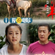 戀愛的羊 戀愛的羊
