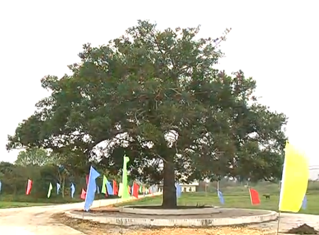 甘水塘村 甘水塘村