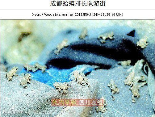 蛤蟆遊街 蛤蟆遊街