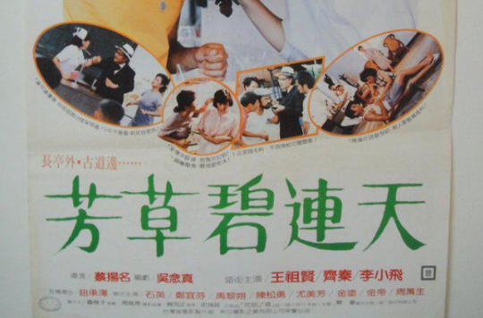 芳草碧連天(1986年由齊秦、王祖賢主演的台灣電影)