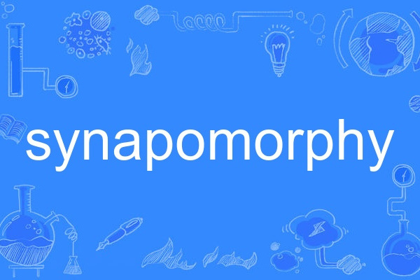 synapomorphy synapomorphy