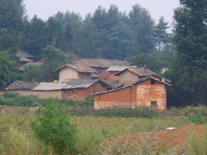 上大梨樹村 上大梨樹村
