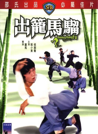程小東 程小東