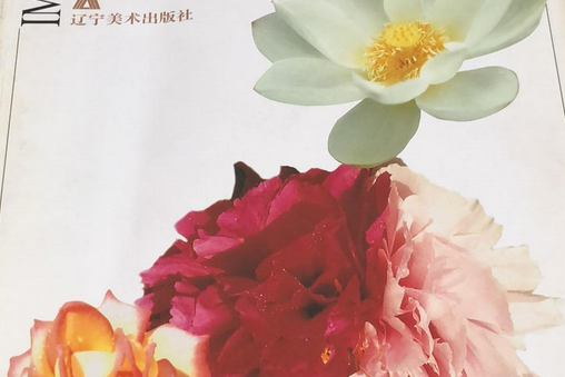 花容(1999年遼寧美術出版社出版的圖書)