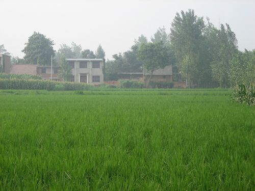 下草村 下草村