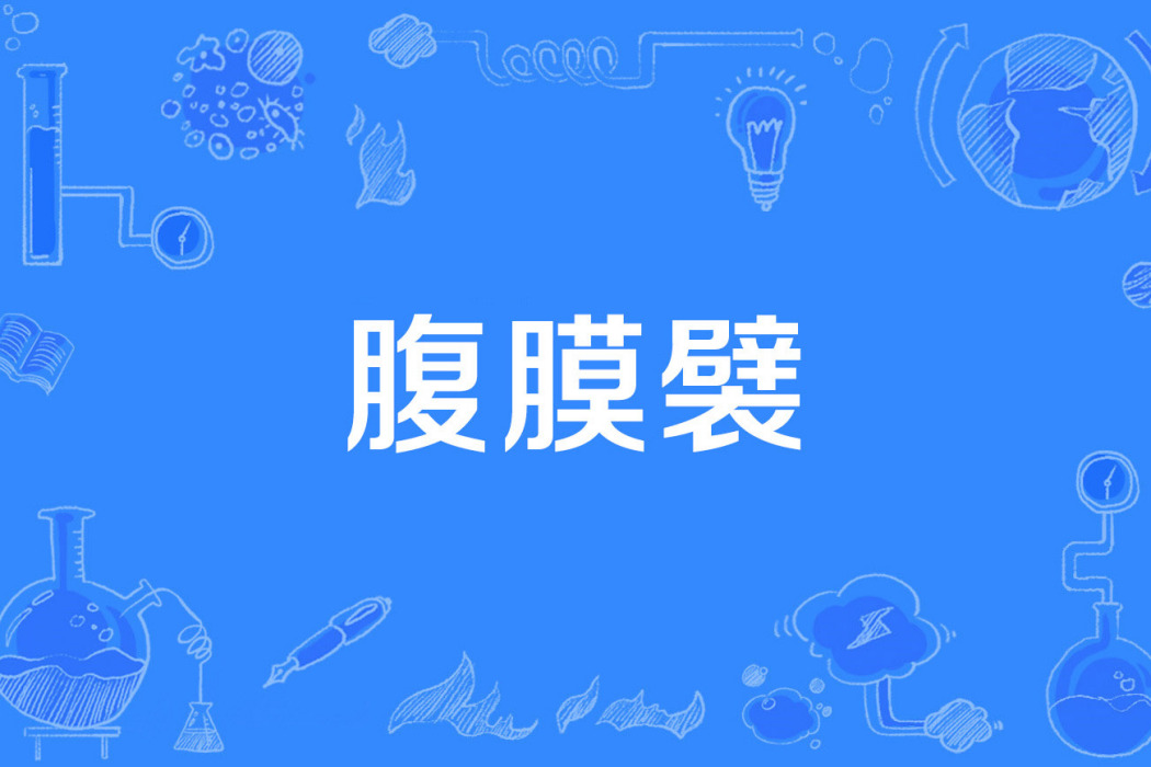 腹膜襞 腹膜襞