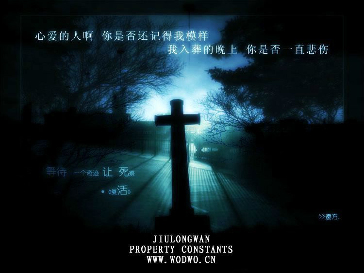 第十三雙眼睛(第十三雙眼) 第十三雙眼睛(第十三雙眼)