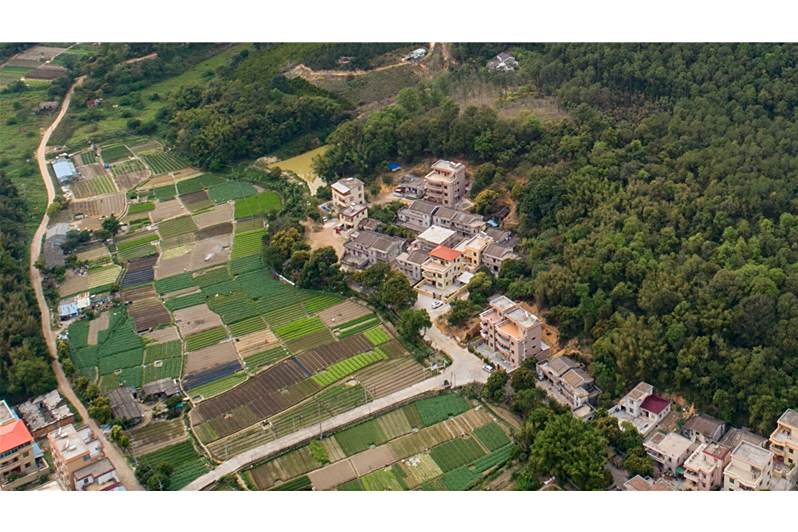 後門坑村 後門坑村