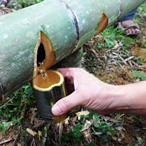 原野竹筒酒