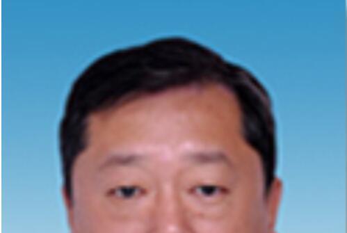 董波(黃岡市委常委、市政府副市長(掛職)) 董波(黃岡市委常委、市政府副市長(掛職))