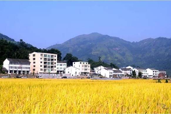 塔石村(浙江省溫州市瑞安市平陽坑鎮下轄行政村) 塔石村(浙江省溫州市瑞安市平陽坑鎮下轄行政村)