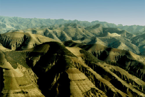 崗黃土田 崗黃土田