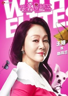 我不是精英(2016年劉新執導電視劇)