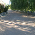 聶莊村(北京市延慶縣香營鄉下轄村) 聶莊村(北京市延慶縣香營鄉下轄村)