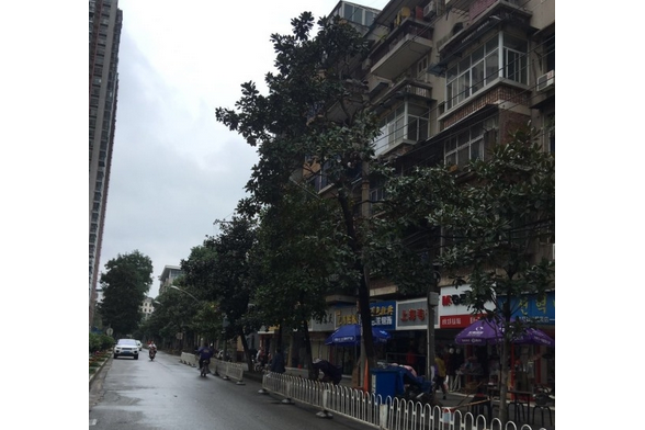 惠濟一路 惠濟一路