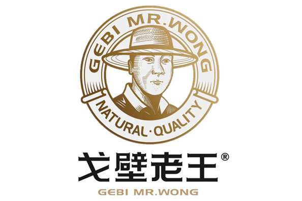 戈壁老王 戈壁老王