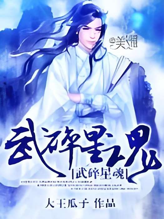 武碎星魂