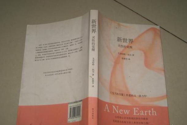 新世界(2008年南方出版社出版的圖書) 新世界(2008年南方出版社出版的圖書)