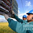 農業用電 農業用電