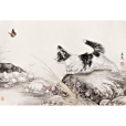 貓蝶陽戲 貓蝶陽戲