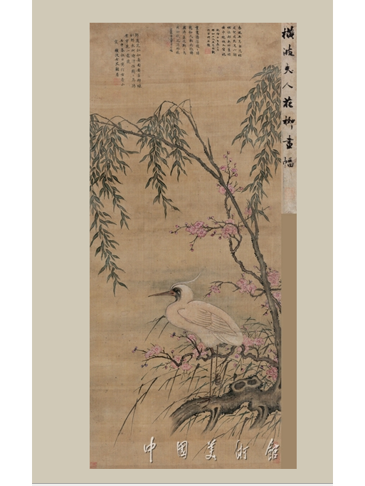 花柳圖 花柳圖