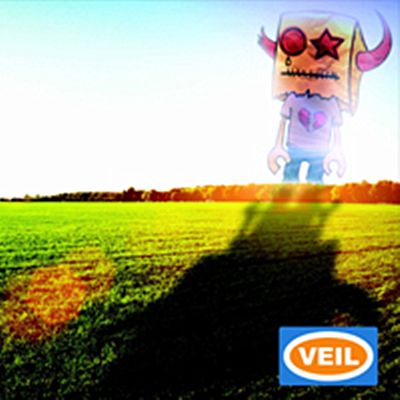 V.E.I.L V.E.I.L