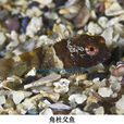 角杜父魚 角杜父魚