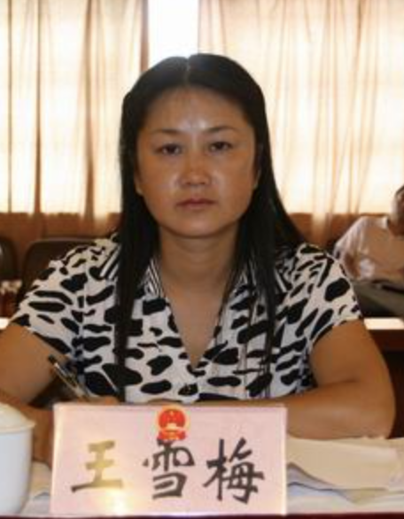 王雪梅(眉山市彭山區錦江鎮正華村綜合治理專乾) 王雪梅(眉山市彭山區錦江鎮正華村綜合治理專乾)