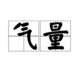 氣量 氣量