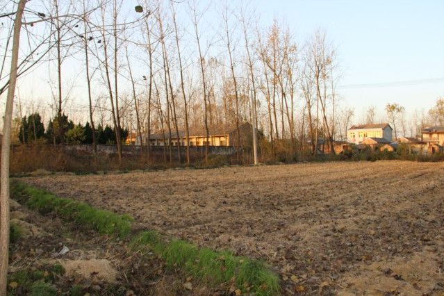 六里墩遺址 六里墩遺址